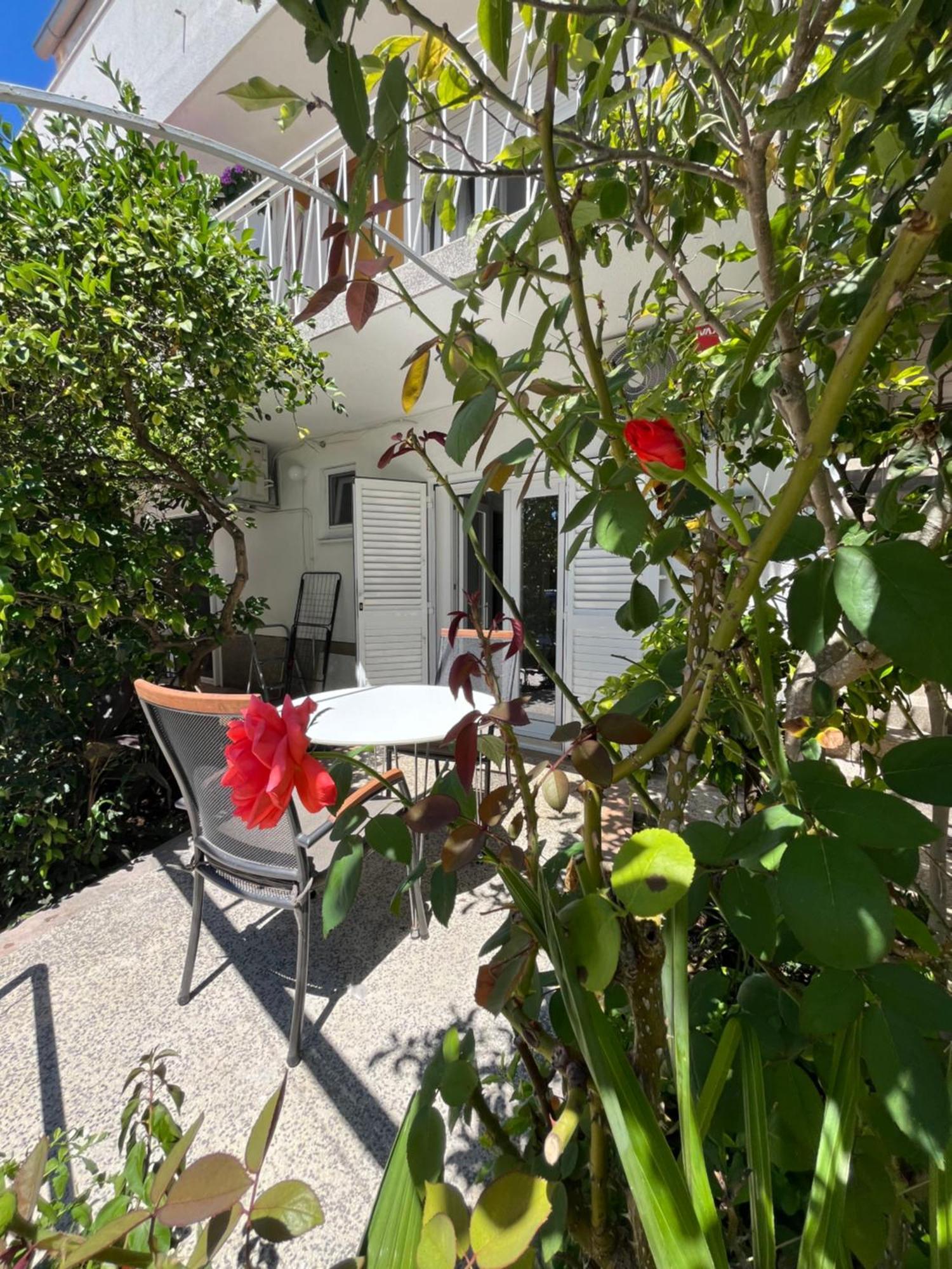Green Oasis For Two, 30 Meters From Sea Apartment Zadar Exterior foto